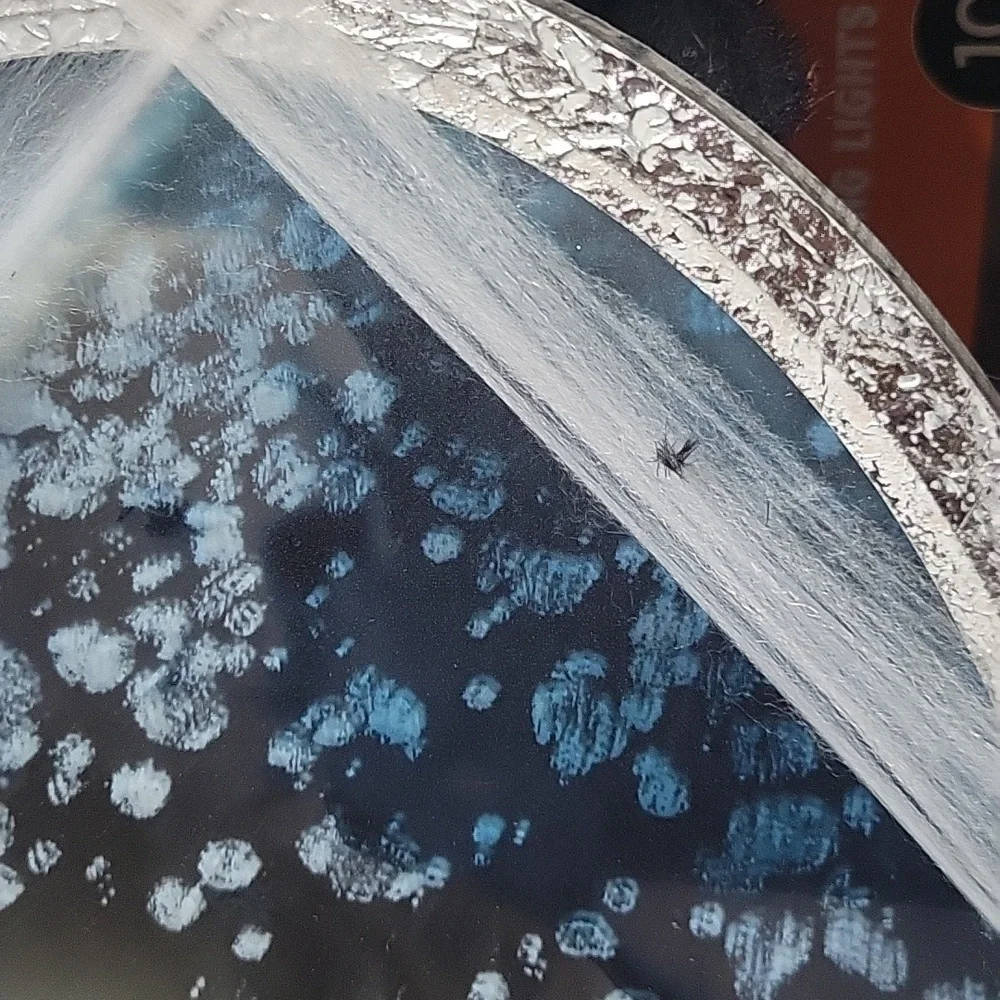 Elegant Silver and Blue Oval Wall Decoration